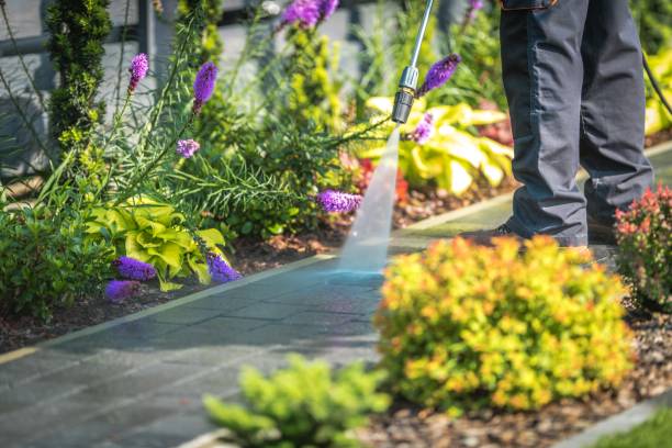  Roselle Park, NJ Pressure Washing Pros