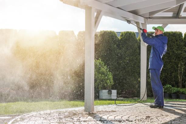 Best Soft Washing  in Roselle Park, NJ