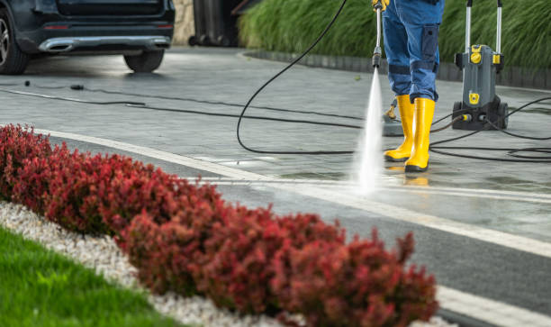 Best Parking Lot and Garage Cleaning  in Roselle Park, NJ