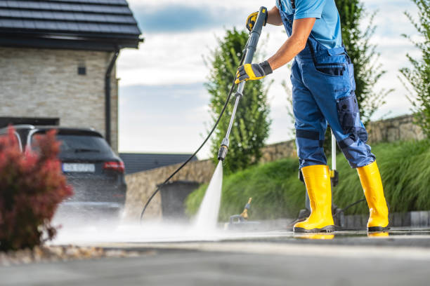 Best Driveway Pressure Washing  in Roselle Park, NJ